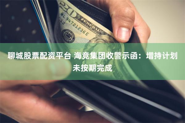 聊城股票配资平台 海竞集团收警示函：增持计划未按期完成