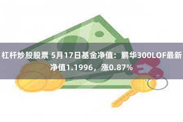 杠杆炒股股票 5月17日基金净值：鹏华300LOF最新净值1.1996，涨0.87%