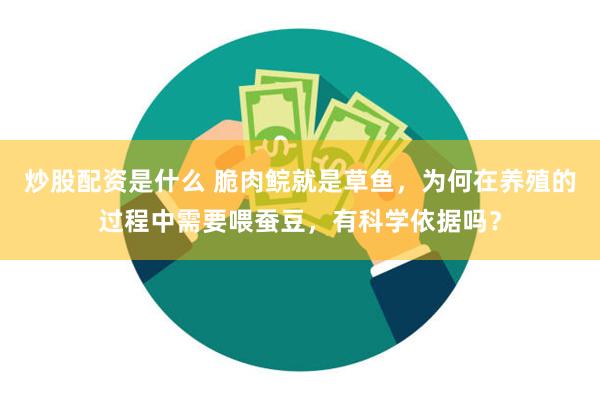 炒股配资是什么 脆肉鲩就是草鱼，为何在养殖的过程中需要喂蚕豆，有科学依据吗？