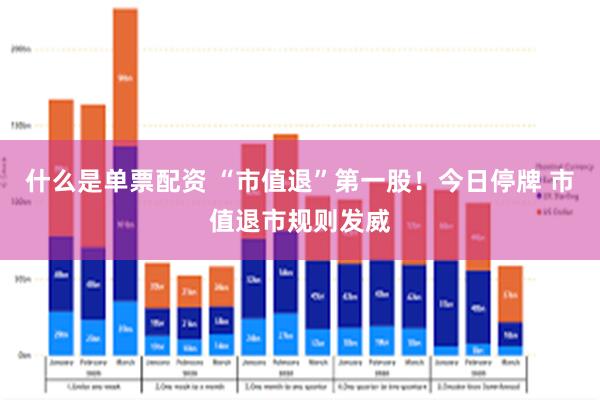 什么是单票配资 “市值退”第一股！今日停牌 市值退市规则发威