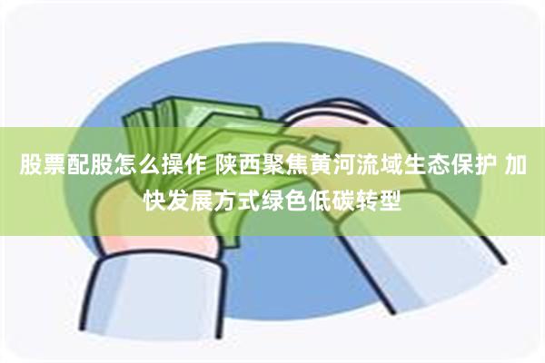 股票配股怎么操作 陕西聚焦黄河流域生态保护 加快发展方式绿色低碳转型