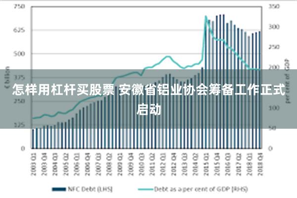 怎样用杠杆买股票 安徽省铝业协会筹备工作正式启动