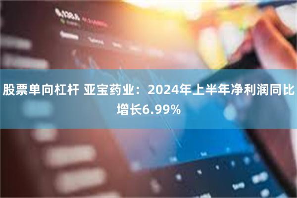 股票单向杠杆 亚宝药业：2024年上半年净利润同比增长6.99%