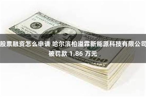 股票融资怎么申请 哈尔滨柏溢霖新能源科技有限公司被罚款 1.86 万元