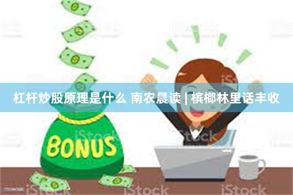 杠杆炒股原理是什么 南农晨读 | 槟榔林里话丰收