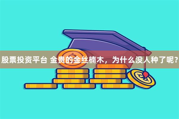 股票投资平台 金贵的金丝楠木，为什么没人种了呢？